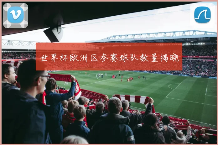 世界杯欧洲区参赛球队数量揭晓