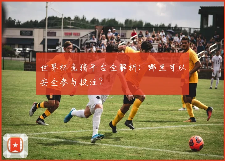 世界杯竞猜平台全解析：哪里可以安全参与投注？