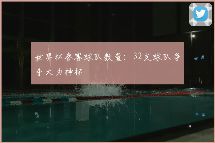 世界杯参赛球队数量：32支球队争夺大力神杯