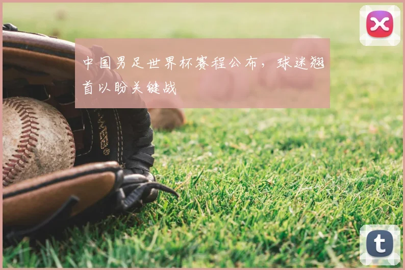 中国男足世界杯赛程公布,球迷翘首以盼关键战