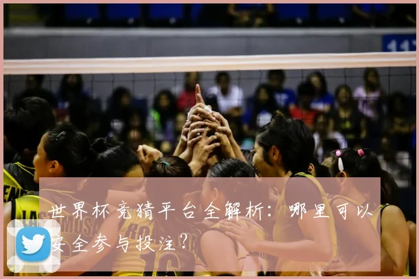世界杯竞猜平台全解析:哪里可以安全参与投注?