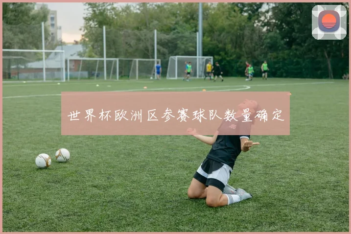 世界杯欧洲区参赛球队数量确定